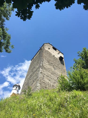 burg-freundsberg-schwaz-2020-01