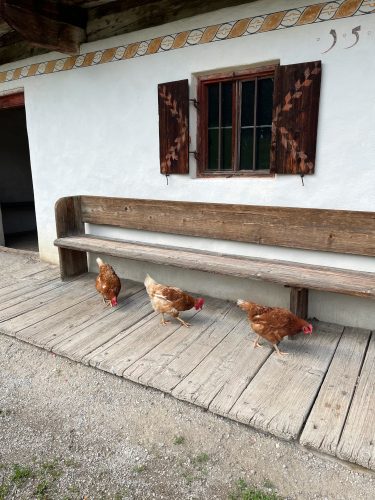 mittelalter-bauernhoefemuseum-kramsach-2025-02